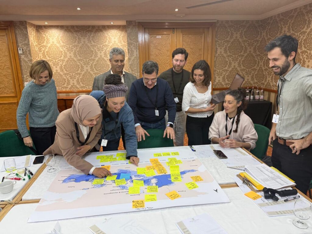 Participants mapping existing seeds in the Mediterranean Sea and transplanting them to different places in the basin. ©INSPIRI