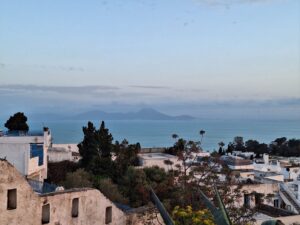 From the heights of Sidi Bou Saïd, this Tunisian village renowned for its blue and white houses offered a charming panorama over the Mediterranean Sea to our participants. ©INSPIRI
