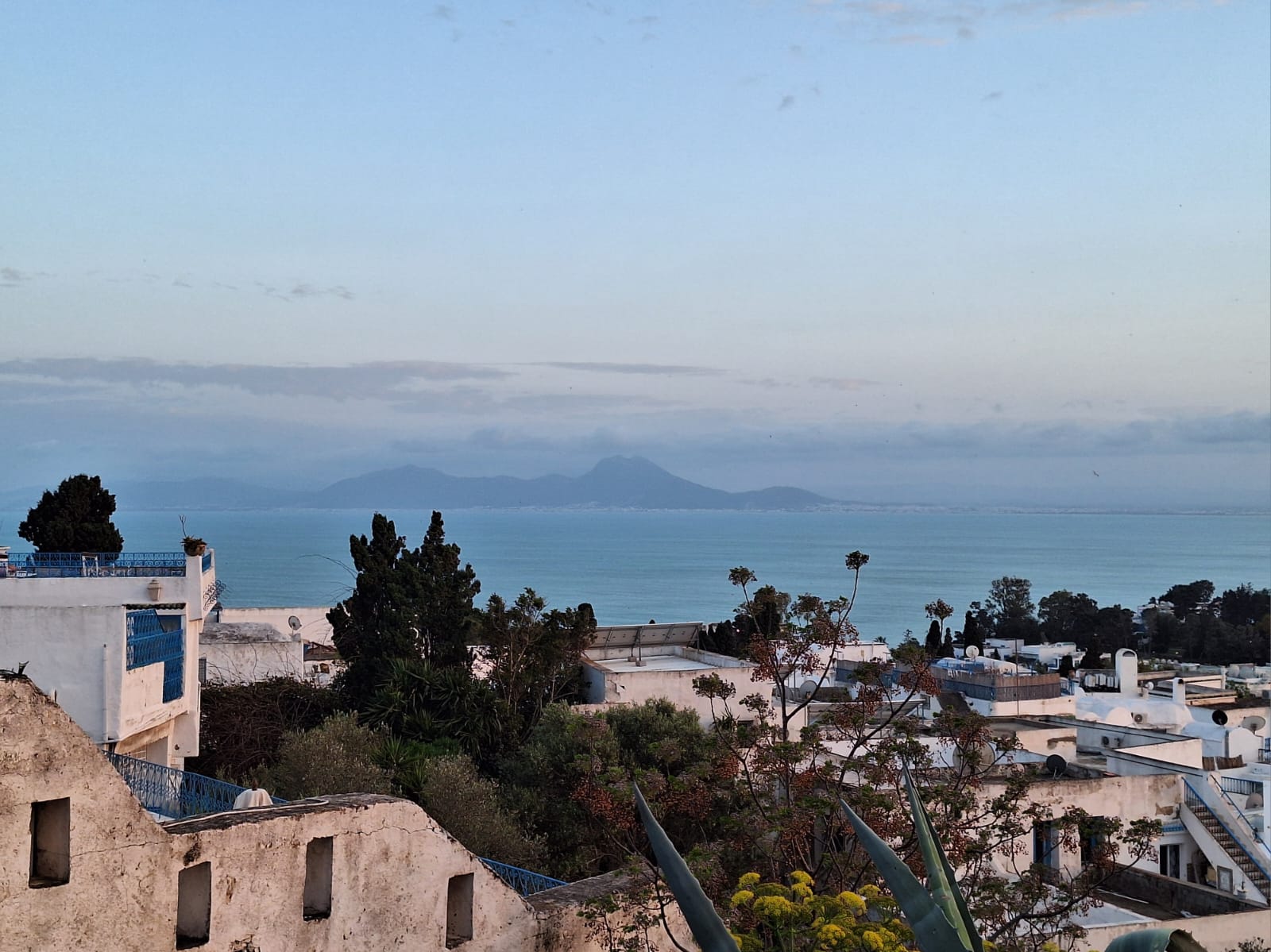 From the heights of Sidi Bou Saïd, this Tunisian village renowned for its blue and white houses offered a charming panorama over the Mediterranean Sea to our participants. ©INSPIRI