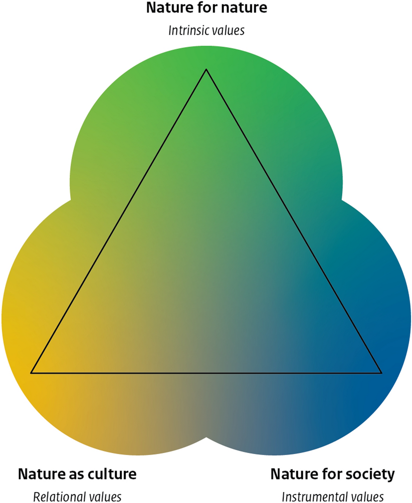 Nature Future Framework Triangle